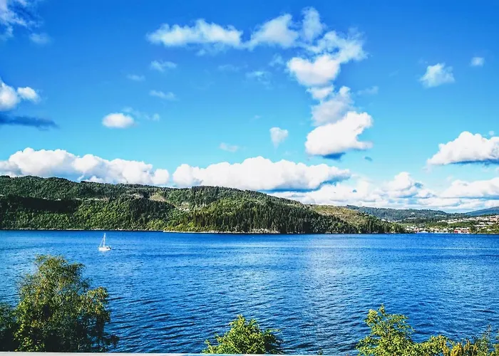 Bjornestrand Fjordside View 公寓